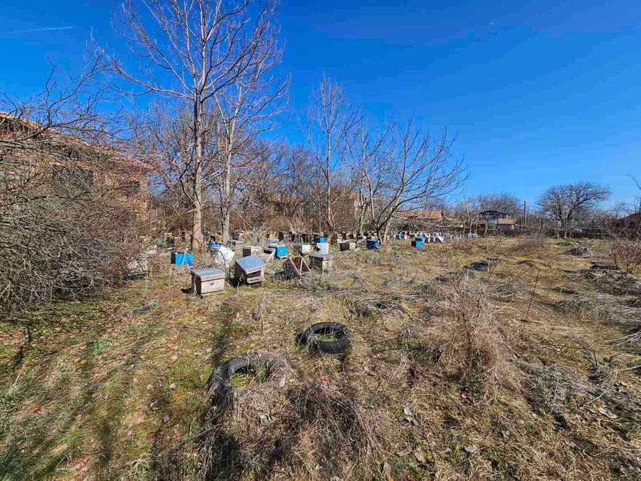 Снимка 349339084