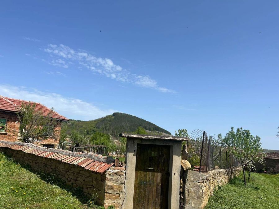 Снимка 349426291