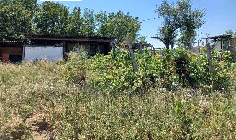 Снимка 349429339