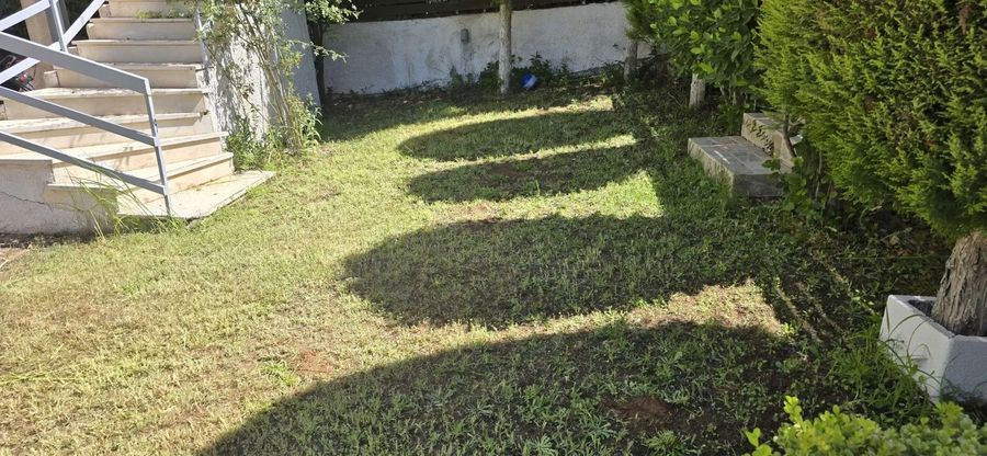 Photo 350565571