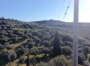 Photo 350960347