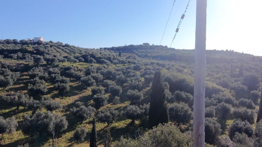 Photo 350960347