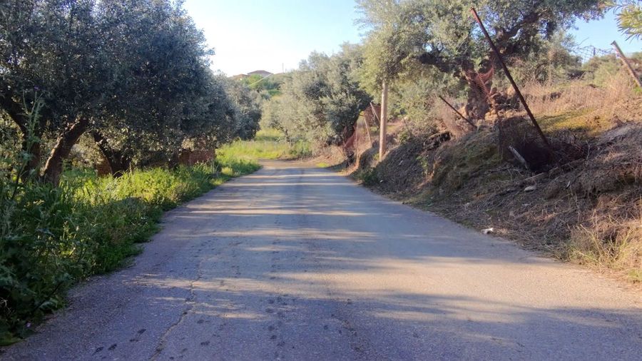 Photo 350960350