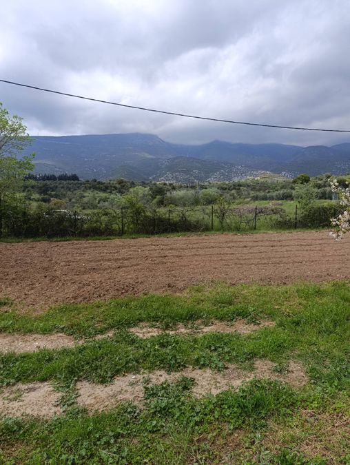 Photo 351157876