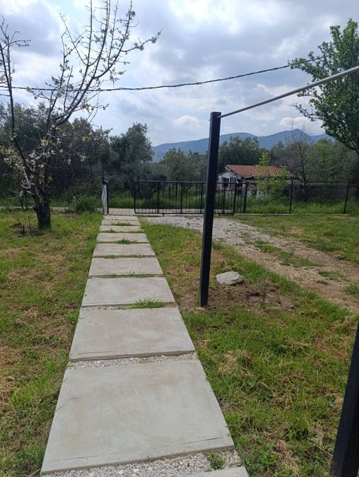 Photo 351157879