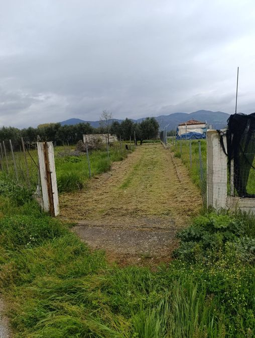 Photo 351205975