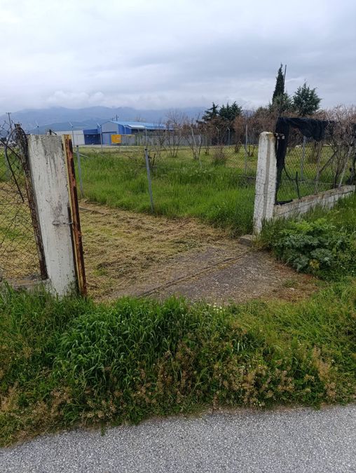 Photo 351205984