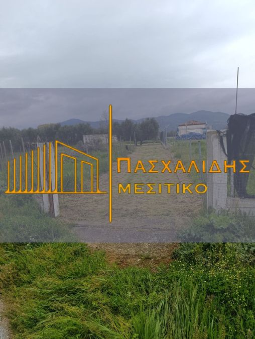 Photo 351206437