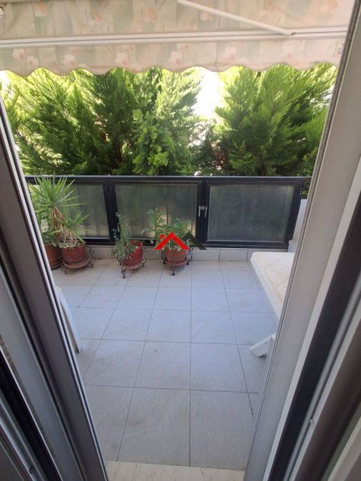 Photo 351316291