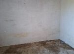 Foto 351324373