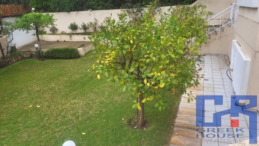 Photo 351368206