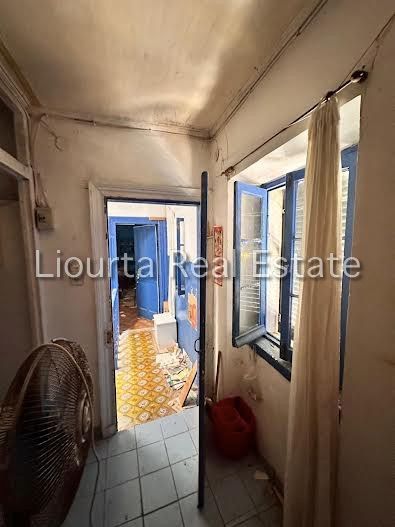 Fotografie 351596563