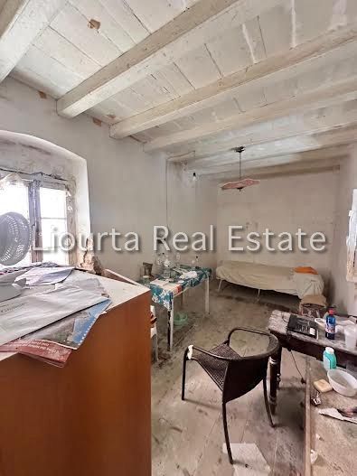 Fotografie 351596569