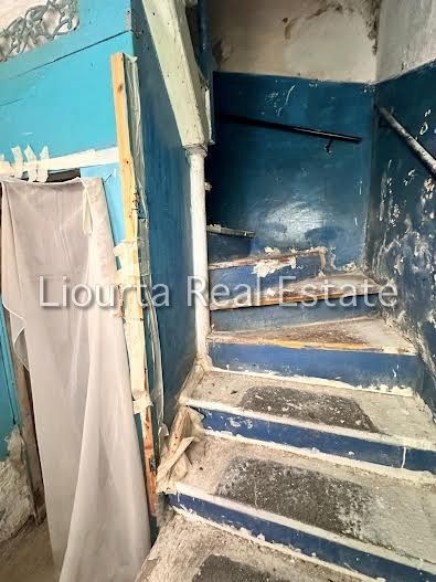 Fotografie 351596572