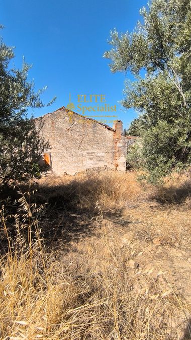 Photo 351712828