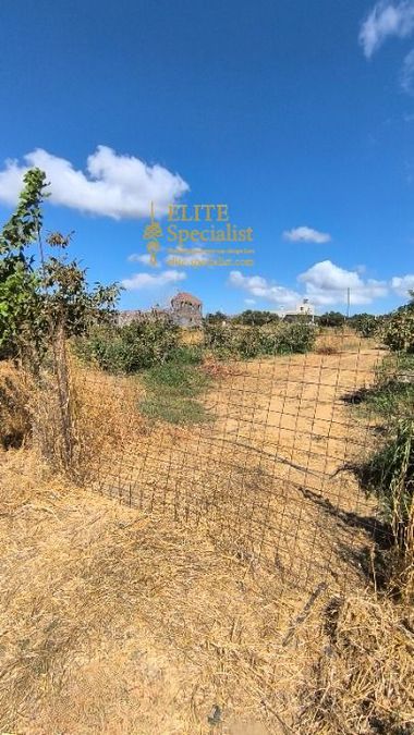 Photo 351712918