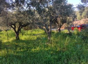 Photo 351750739