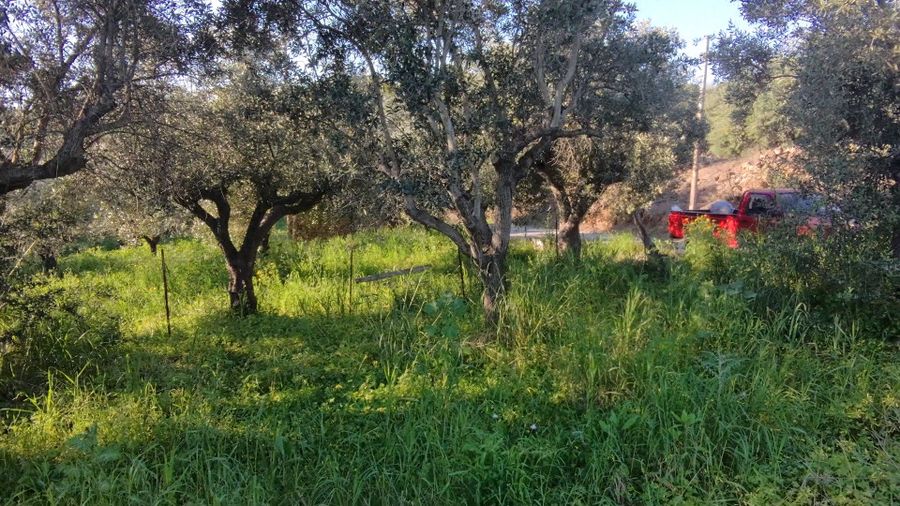 Photo 351750739