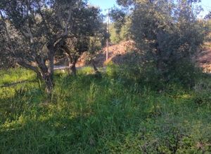 Photo 351750742