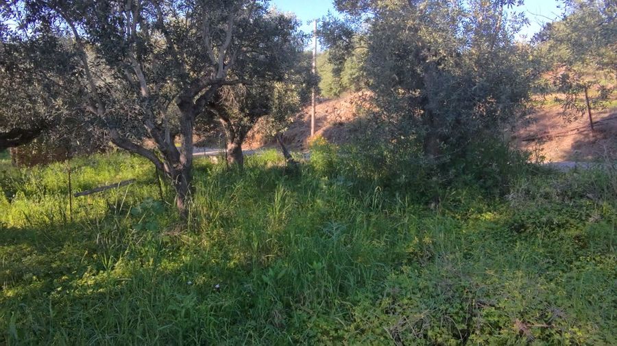 Photo 351750742