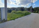 Photo 351791719