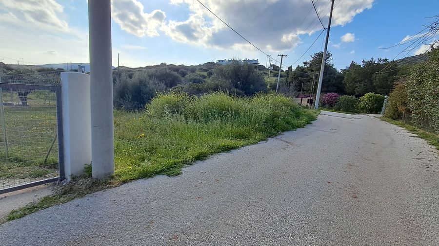 Photo 351791719