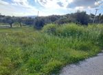 Photo 351791848