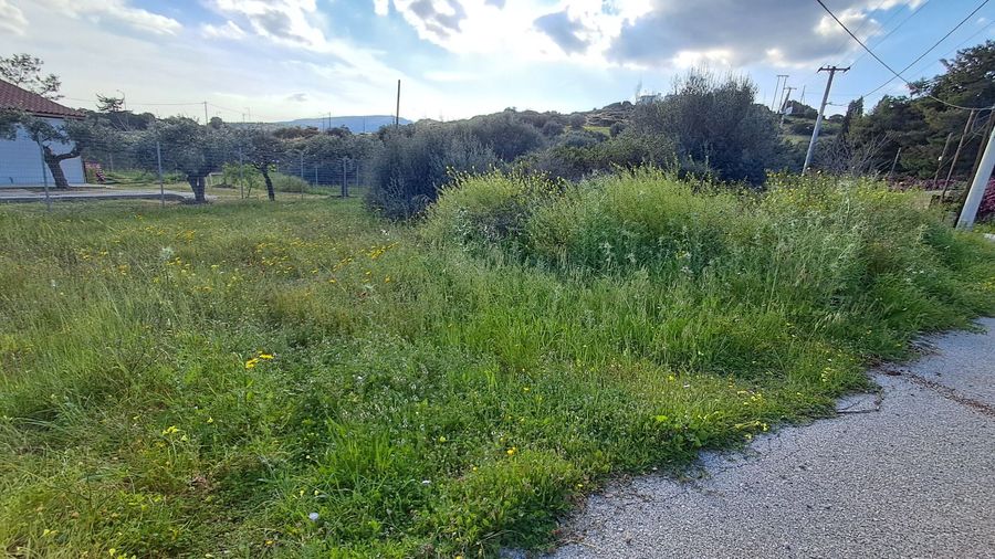 Photo 351791848