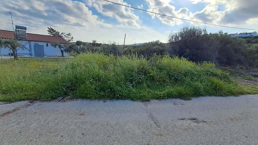 Photo 351791851