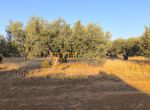 Photo 351949972