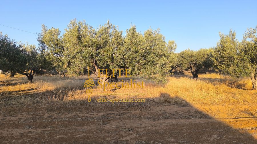 Photo 351949972