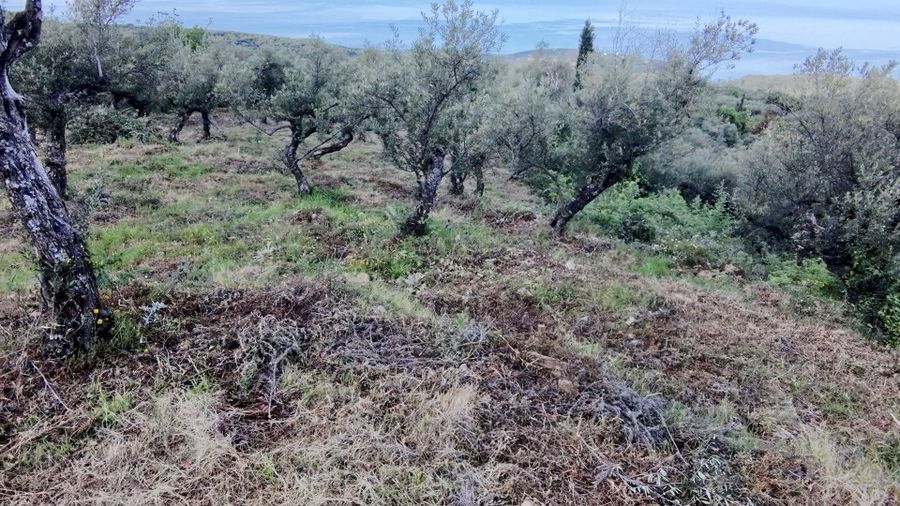 Photo 352114417