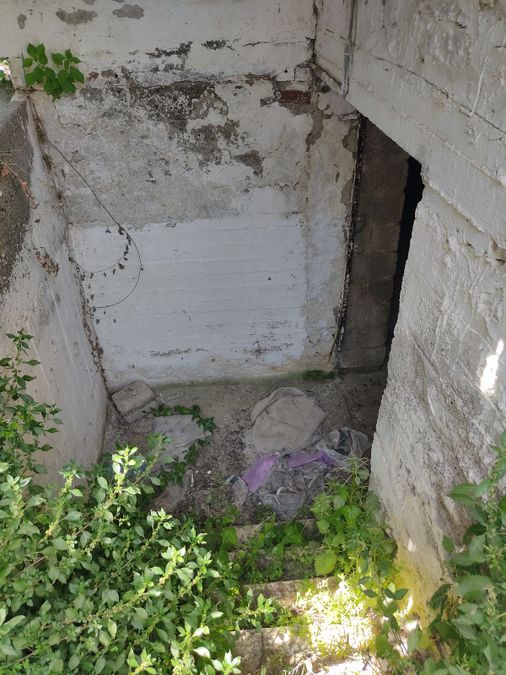 Photo 352165324