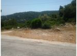 Photo 352293610