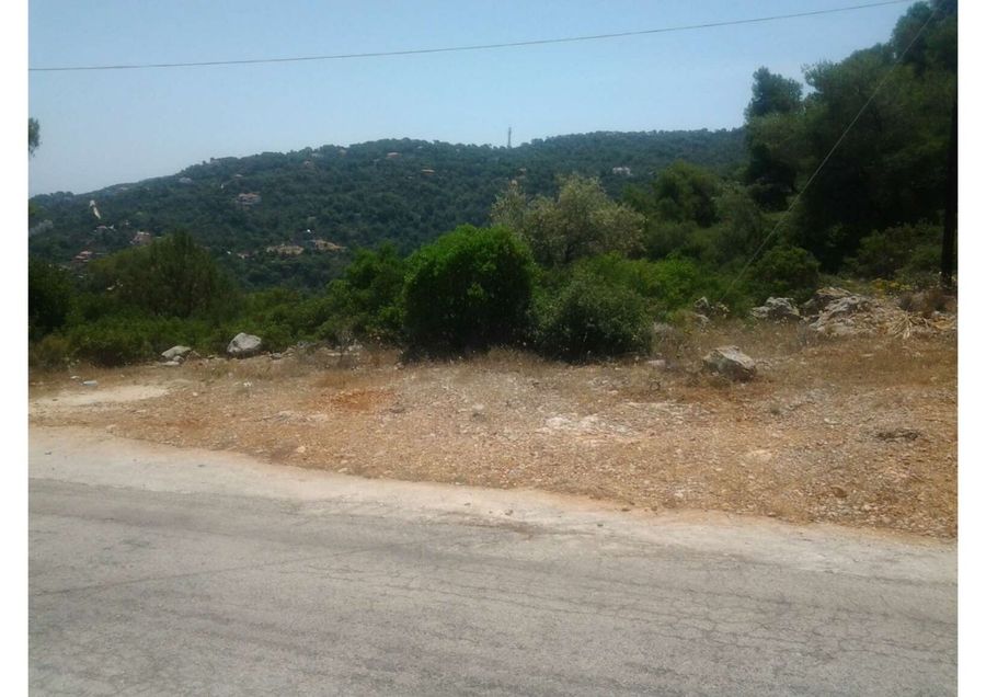 Photo 352293610