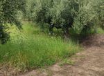 Photo 352294129