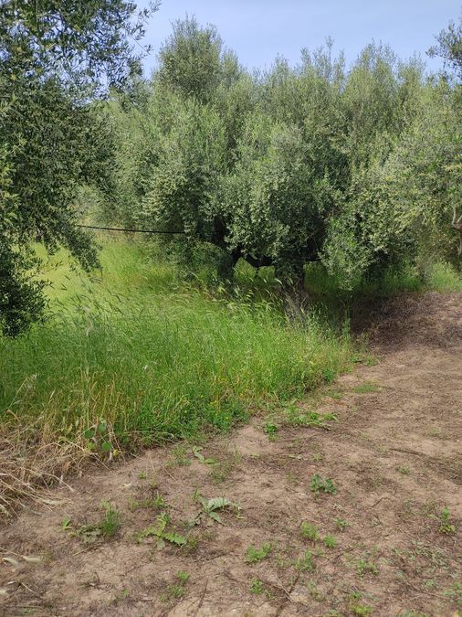 Photo 352294129