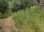 Photo 352294132