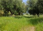 Photo 352294135