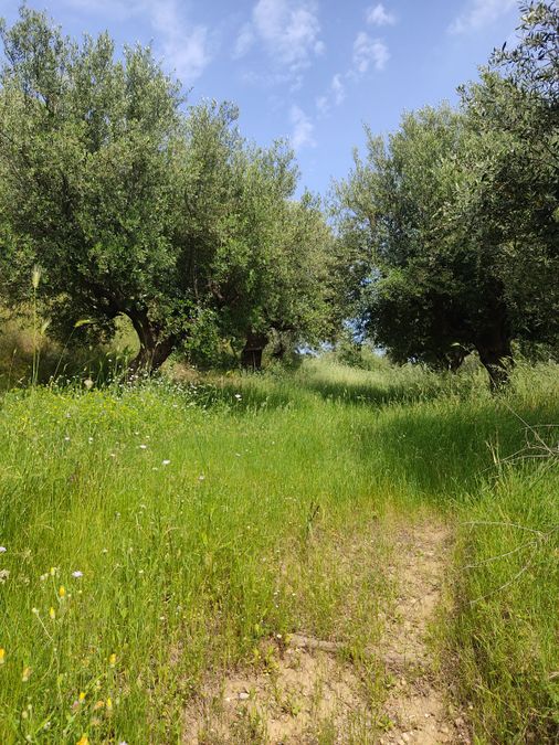 Photo 352294135