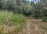 Photo 352294138