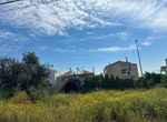 Photo 352547029
