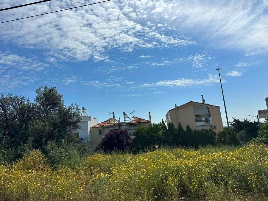 Photo 352547029