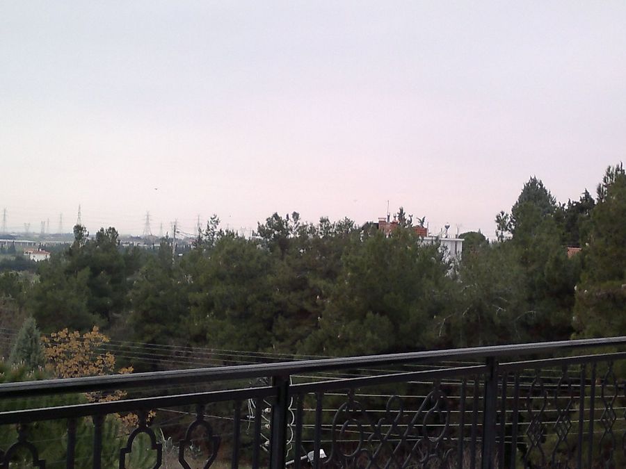 Photo 352555582