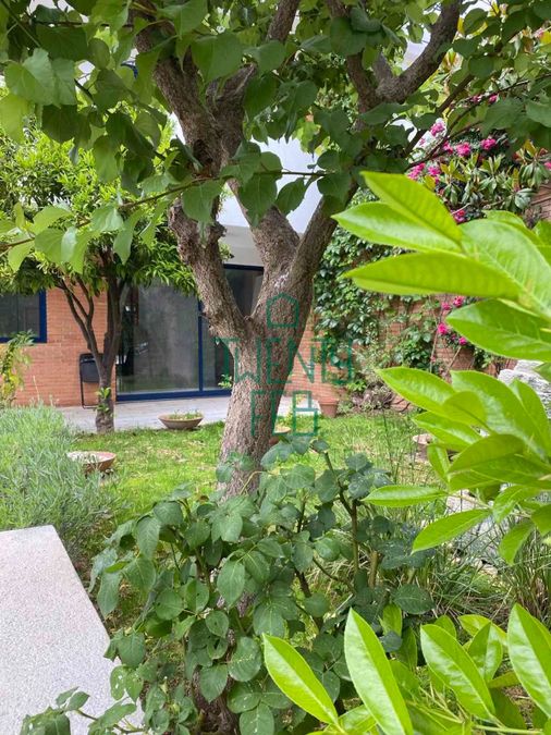 Photo 352693771