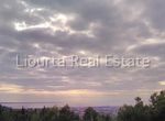 Photo 353093971