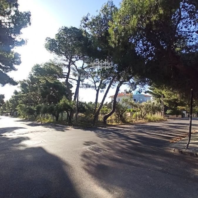 Photo 353196898