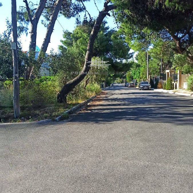 Photo 353196901
