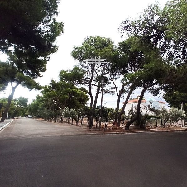 Photo 353196910