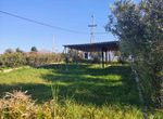 Photo 353225035